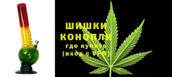 прущие грибы Зуевка